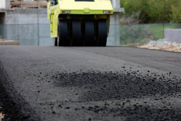 Best Driveway Pavers Near Me  in South Congaree, SC