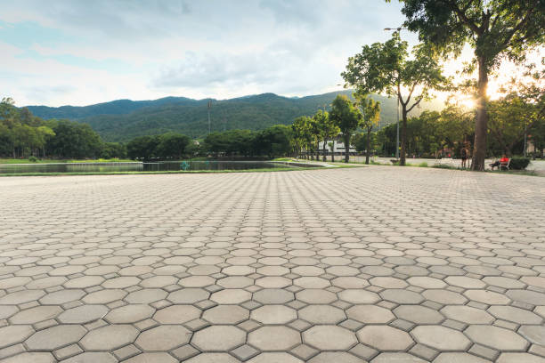 Best Driveway Paving Contractor  in South Congaree, SC